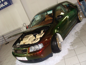 Zdjęcie 50761053