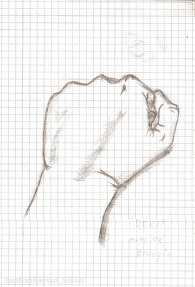 Zdjęcie 50951316