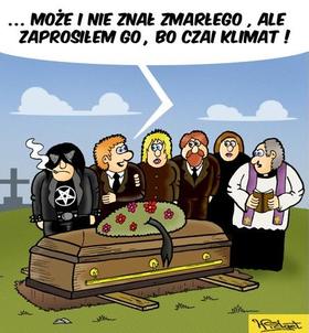 Zdjęcie 51010471