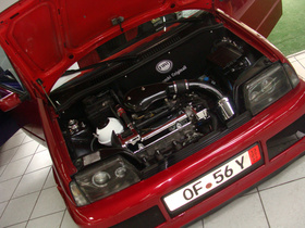 Zdjęcie 51068192