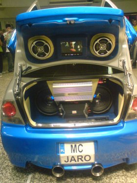 Zdjęcie 51068289