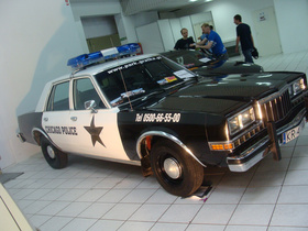 Zdjęcie 51068430