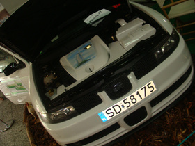 Zdjęcie 51068500