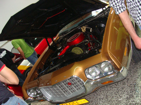 Zdjęcie 51068662
