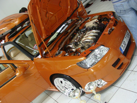 Zdjęcie 51068767