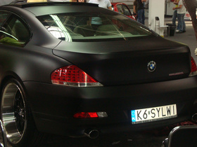 Zdjęcie 51182975