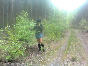 forest, jungle