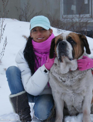 dog, pet