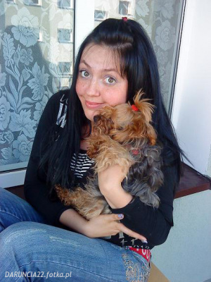 hair, jeans, denim, sitting, dog