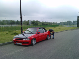 Zdjęcie 51478519