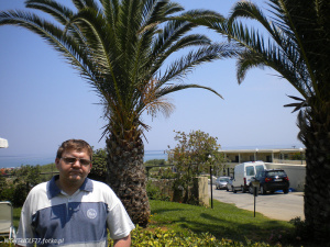 vacation, food, vehicle, plant