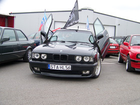 Zdjęcie 51515729