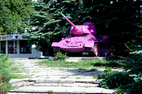 Zdjęcie 51785047