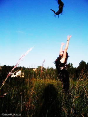 hand, sky, bird