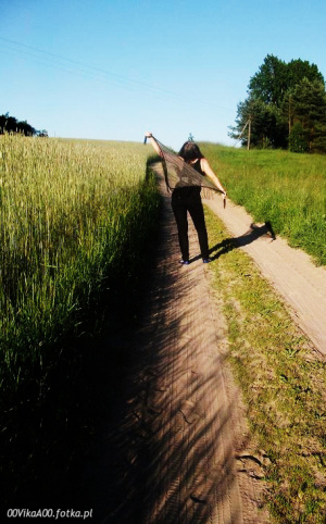 field