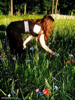 petal, flower, garden
