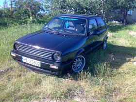 Zdjęcie 51982079