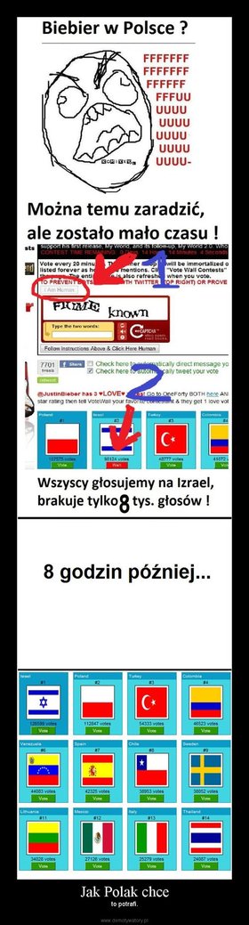 Zdjęcie 52181531