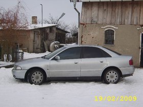 Zdjęcie 52338572