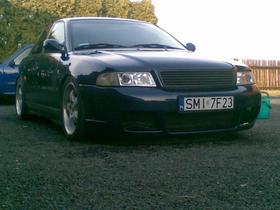 Zdjęcie 52535984