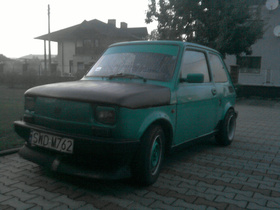 Zdjęcie 52643026