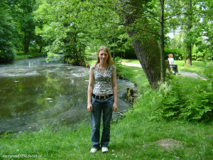 jeans, forest