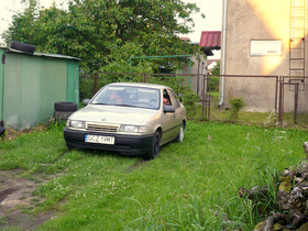 Zdjęcie 52828781
