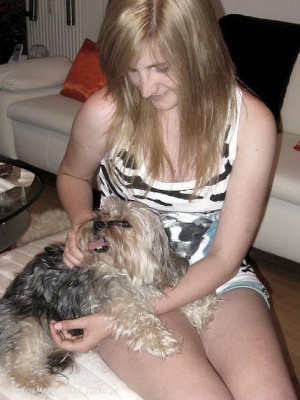 dog, pet