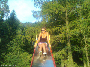 leisure, forest, jungle