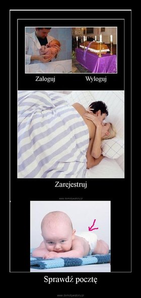 Zdjęcie 53208395