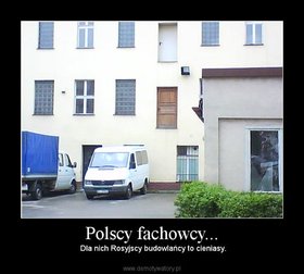 Zdjęcie 53208670