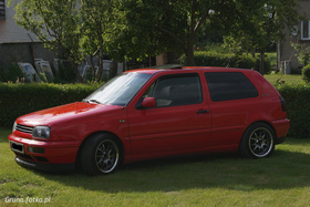 Zdjęcie 53407468