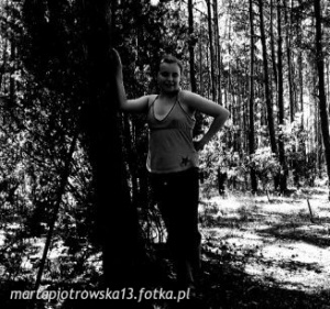 standing, monochrome, forest