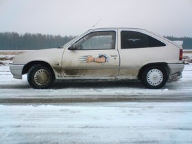 Zdjęcie 53548288