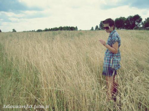 field, prairie