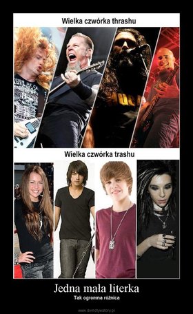 Zdjęcie 53911038