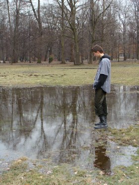 Zdjęcie 54074612