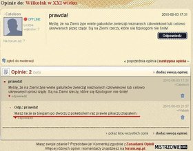 Zdjęcie 54331256