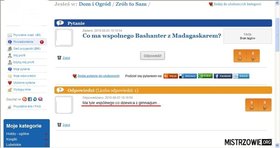 Zdjęcie 54341889