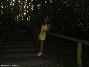 standing, forest