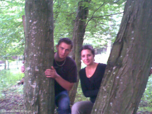 forest