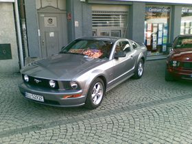 Mustang