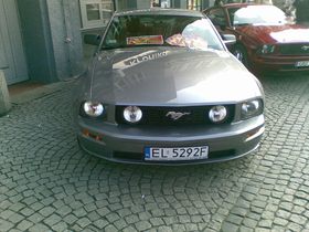 Mustang (2)