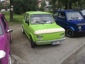 Zdjęcie 54926482