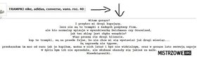 Zdjęcie 54962724