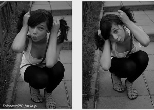 monochrome, model