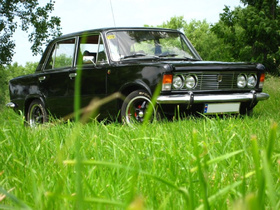 Zdjęcie 55096568