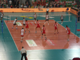 Zdjęcie 55543152
