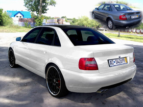 Zdjęcie 55782320