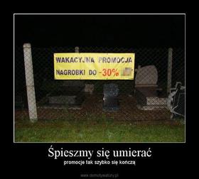 Zdjęcie 56416999